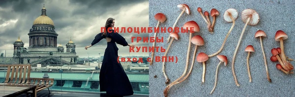 а пвп мука Ельня